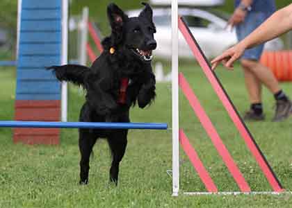 Agility Agility
